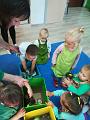 IMG_20181012_094006