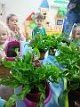 IMG_20181012_095612