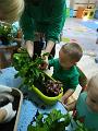 IMG_20181012_095837