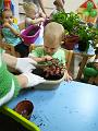 IMG_20181012_095903