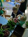 IMG_20181012_095947