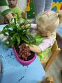 IMG_20181012_100118