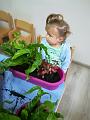IMG_20181012_100510