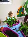IMG_20181012_100523