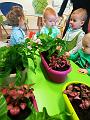 IMG_20181012_101149