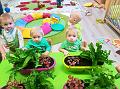 IMG_20181012_101204