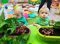 IMG_20181012_101212