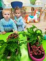 IMG_20181012_101226