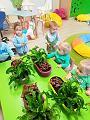 IMG_20181012_101229