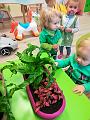 IMG_20181012_101239