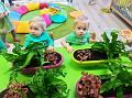 IMG_20181012_101243