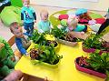 IMG_20181012_101416