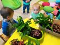 IMG_20181012_101422