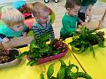 IMG_20181012_101429