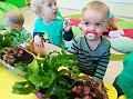 IMG_20181012_101432