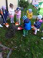 IMG_20181012_103656