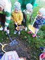 IMG_20181012_103835