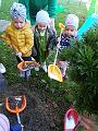 IMG_20181012_103837