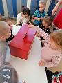 IMG_20201124_135234